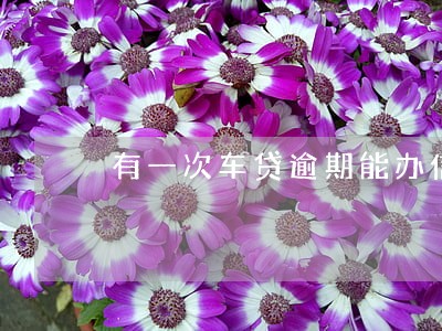 有一次车贷逾期能办信用卡吗