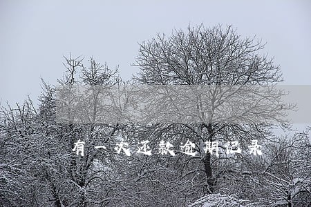 有一次还款逾期记录 有一次还款逾期记录