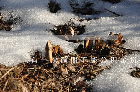 有一次逾期不能公积金贷款么 有一次逾期不能公积金贷款么