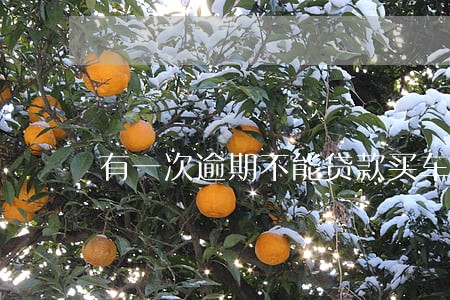 有一次逾期不能贷款买车吗 有一次逾期不能贷款买车吗