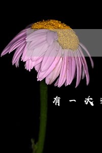 有一次逾期会对找工作有影响吗 有一次逾期会对找工作有影响吗