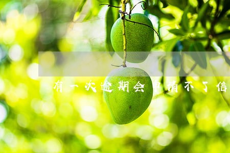 有一次逾期会申请不了信用卡吗