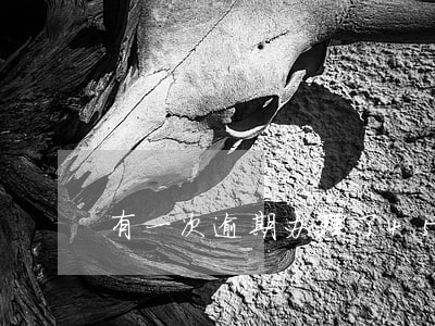 有一次逾期办理了45笔分期