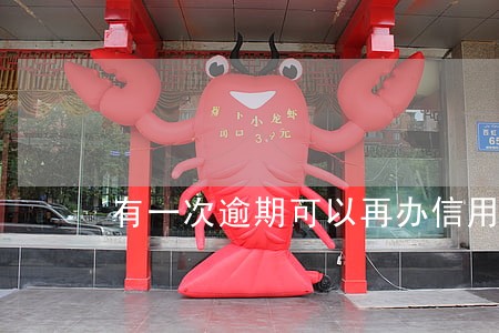 有一次逾期可以再办信用卡 有一次逾期可以再办信用卡