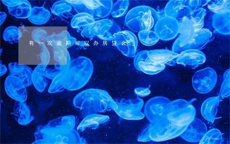 有一次逾期可以办房贷么 有一次逾期可以办房贷么