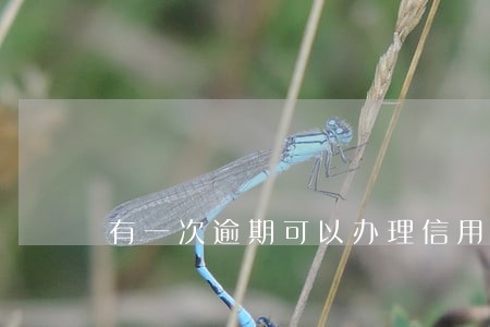 有一次逾期可以办理信用卡吗