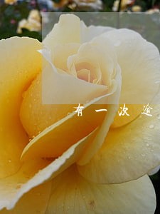有一次逾期对房贷有影响吗 有一次逾期对房贷有影响吗