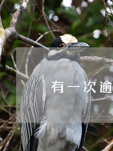 有一次逾期小花钱包能借到钱吗 有一次逾期小花钱包能借到钱吗