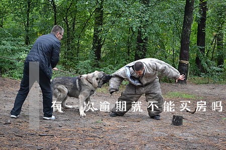 有一次逾期就不能买房吗 有一次逾期就不能买房吗
