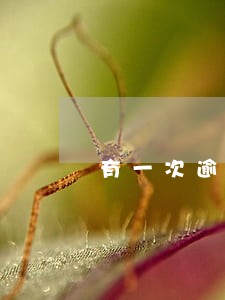 有一次逾期怎么贷款买房 有一次逾期怎么贷款买房