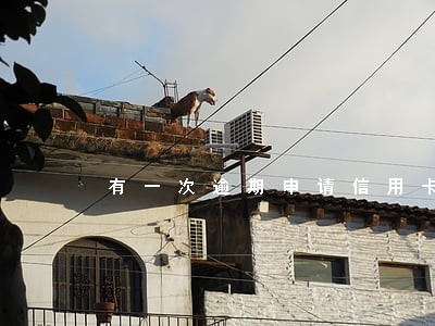 有一次逾期申请信用卡提额度 有一次逾期申请信用卡提额度