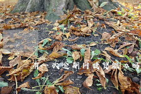 有一次逾期网捷贷能办吗 有一次逾期网捷贷能办吗