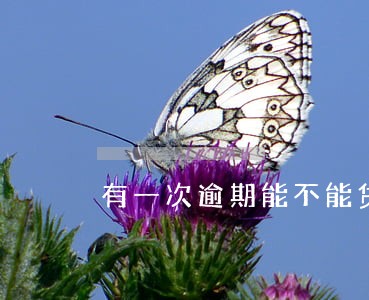 有一次逾期能不能贷公积金