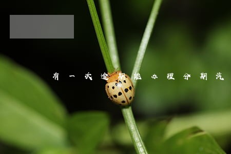 有一次逾期能办理分期汽车吗 有一次逾期能办理分期汽车吗