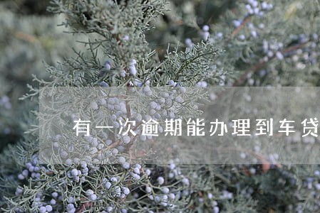 有一次逾期能办理到车贷吗