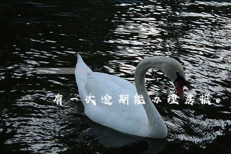 有一次逾期能办理房抵e贷吗
