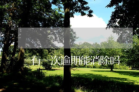 有一次逾期能消除吗 有一次逾期能消除吗