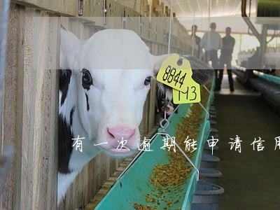 有一次逾期能申请信用贷款吗