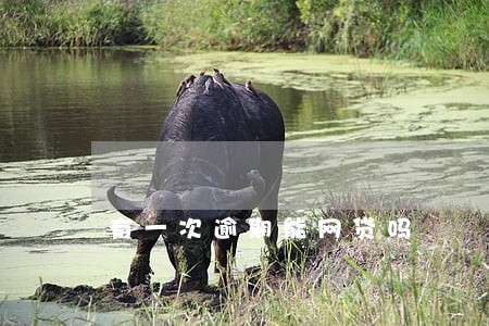 有一次逾期能网贷吗 有一次逾期能网贷吗