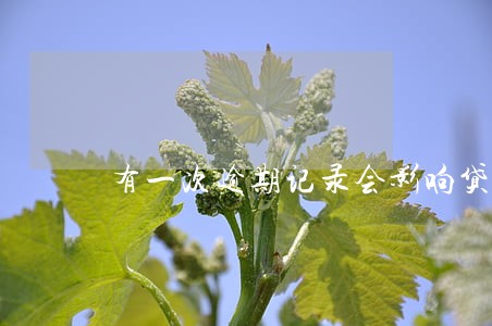 有一次逾期记录会影响贷款吗 有一次逾期记录会影响贷款吗