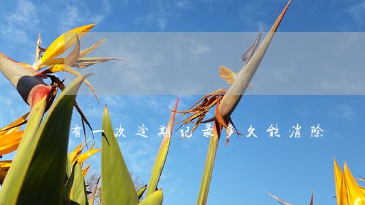 有一次逾期记录多久能消除 有一次逾期记录多久能消除