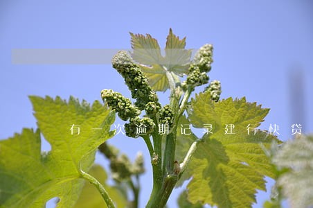 有一次逾期记录建行快贷能贷吗 有一次逾期记录建行快贷能贷吗