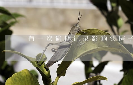 有一次逾期记录影响买房子不 有一次逾期记录影响买房子不