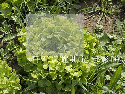 有一次逾期记录影响法人 有一次逾期记录影响法人