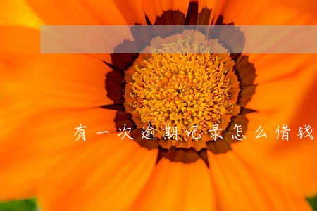 有一次逾期记录怎么借钱 有一次逾期记录怎么借钱