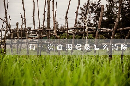 有一次逾期记录怎么消除 有一次逾期记录怎么消除