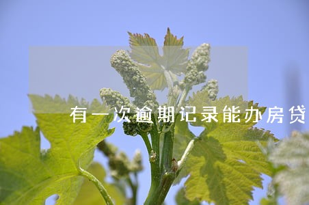 有一次逾期记录能办房贷吗 有一次逾期记录能办房贷吗