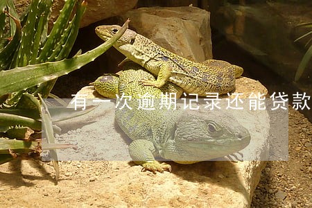 有一次逾期记录还能贷款吗 有一次逾期记录还能贷款吗