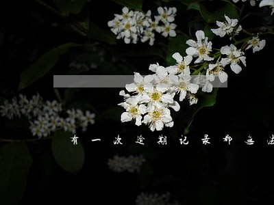 有一次逾期记录都无法贷款 有一次逾期记录都无法贷款
