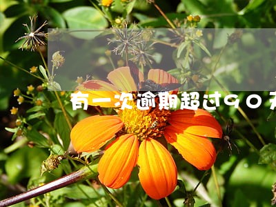有一次逾期超过90天