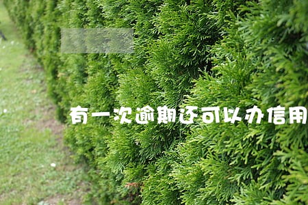 有一次逾期还可以办信用卡吗 有一次逾期还可以办信用卡吗
