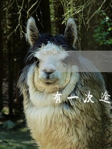 有一次逾期还可以申请信用卡吗 有一次逾期还可以申请信用卡吗
