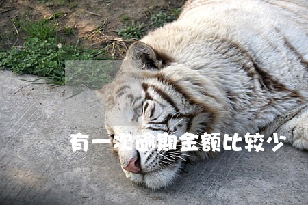 有一次逾期金额比较少 有一次逾期金额比较少