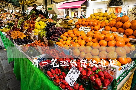 有一笔担保贷款逾期 有一笔担保贷款逾期
