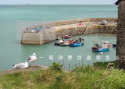 有一笔消费贷逾期怎么查是哪借的