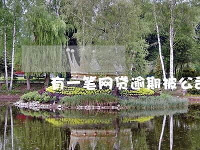 有一笔网贷逾期被公司同事知道