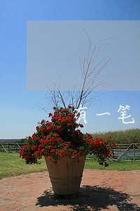 有一笔贷款逾期90天以上 有一笔贷款逾期90天以上