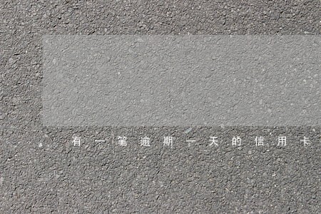 有一笔逾期一天的信用卡 有一笔逾期一天的信用卡