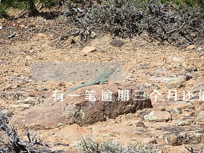 有一笔逾期三个月还能贷款吗