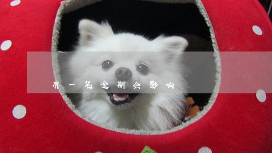 有一笔逾期会影响 有一笔逾期会影响