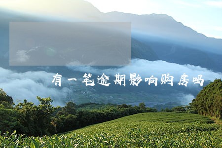 有一笔逾期影响购房吗 有一笔逾期影响购房吗