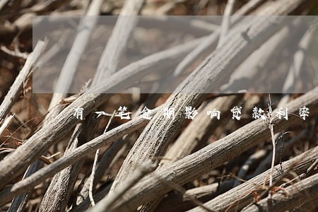 有一笔逾期影响贷款利率么 有一笔逾期影响贷款利率么