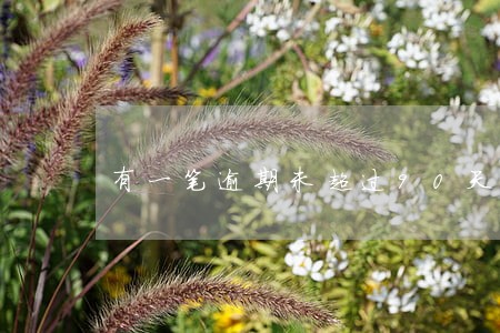 有一笔逾期未超过90天 有一笔逾期未超过90天