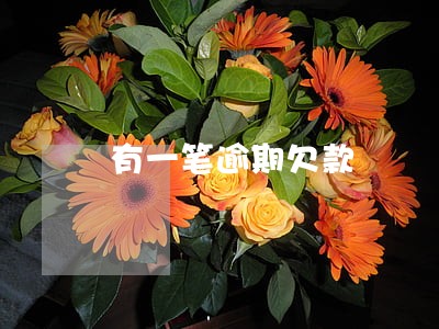有一笔逾期欠款 有一笔逾期欠款