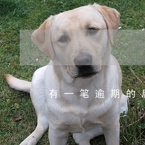 有一笔逾期的后果 有一笔逾期的后果