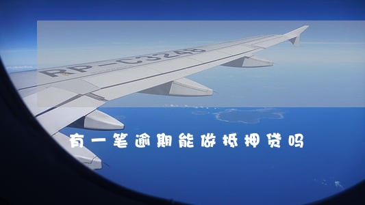有一笔逾期能做抵押贷吗